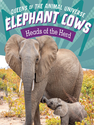 cover image of Elephant Cows
